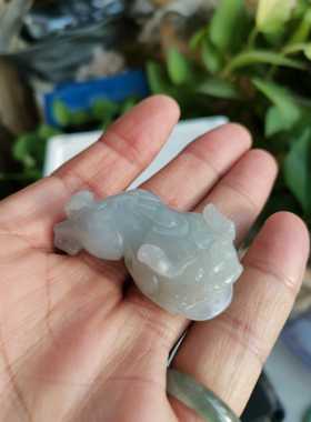 a货冰糯种翡翠证书支持复检老料