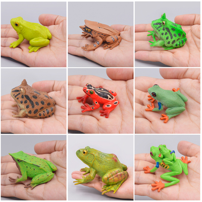 青蛙PVC仿真动物模型科教认知