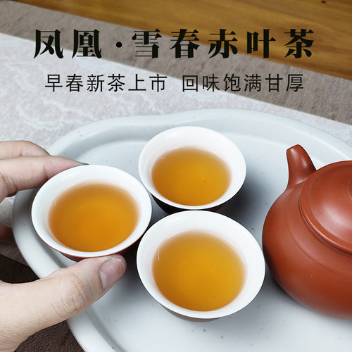 单丛茶雪春赤叶茶高山凤凰单丛潮州特产浓香型乌岽蜜兰香单枞茶叶 - 封面