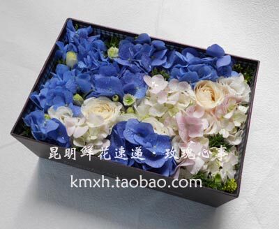 昆明花店鲜花速递昆明-桔梗-玫瑰-双色绣球长方盒装花