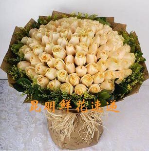99朵香槟玫瑰友情昆明鲜花