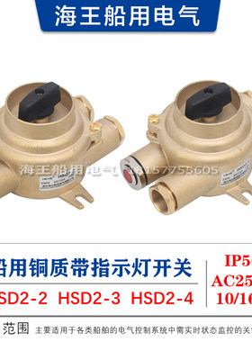 船用铜质带指示灯开关HSD2-2/2-3/2-4 250V16A