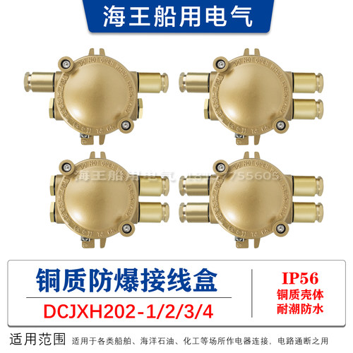 船用水密防水防爆铜质接线盒dCJXH202-1/2/3/4 IP56 550V厂家直销
