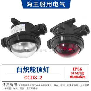 防水船用工程塑料白炽舱顶灯CCD3-2水密甲板舱室应急照明24V30W