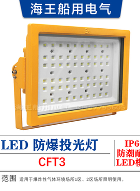 LED防爆灯CFT3 100瓦200W400W  船用码头港口 85-265V 户外隧道灯