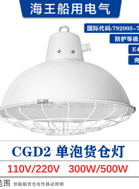 船用钢质单/五泡带金属网罩CGD2/3-2白炽货仓灯货舱灯代码792007