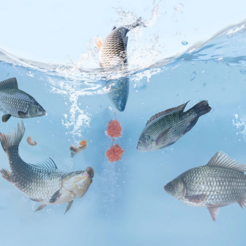 鲫鱼手饵四季可用野钓黑坑鲫鱼鲤