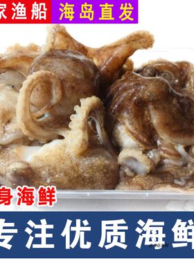 现捕章鱼新鲜大连海鲜八爪鱼