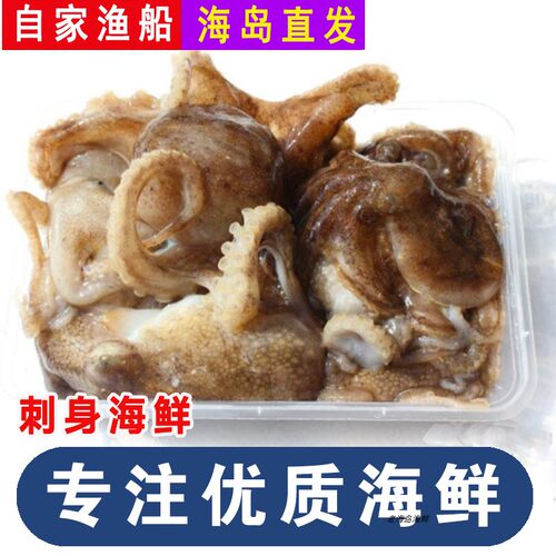 现捕章鱼新鲜大连海鲜八爪鱼