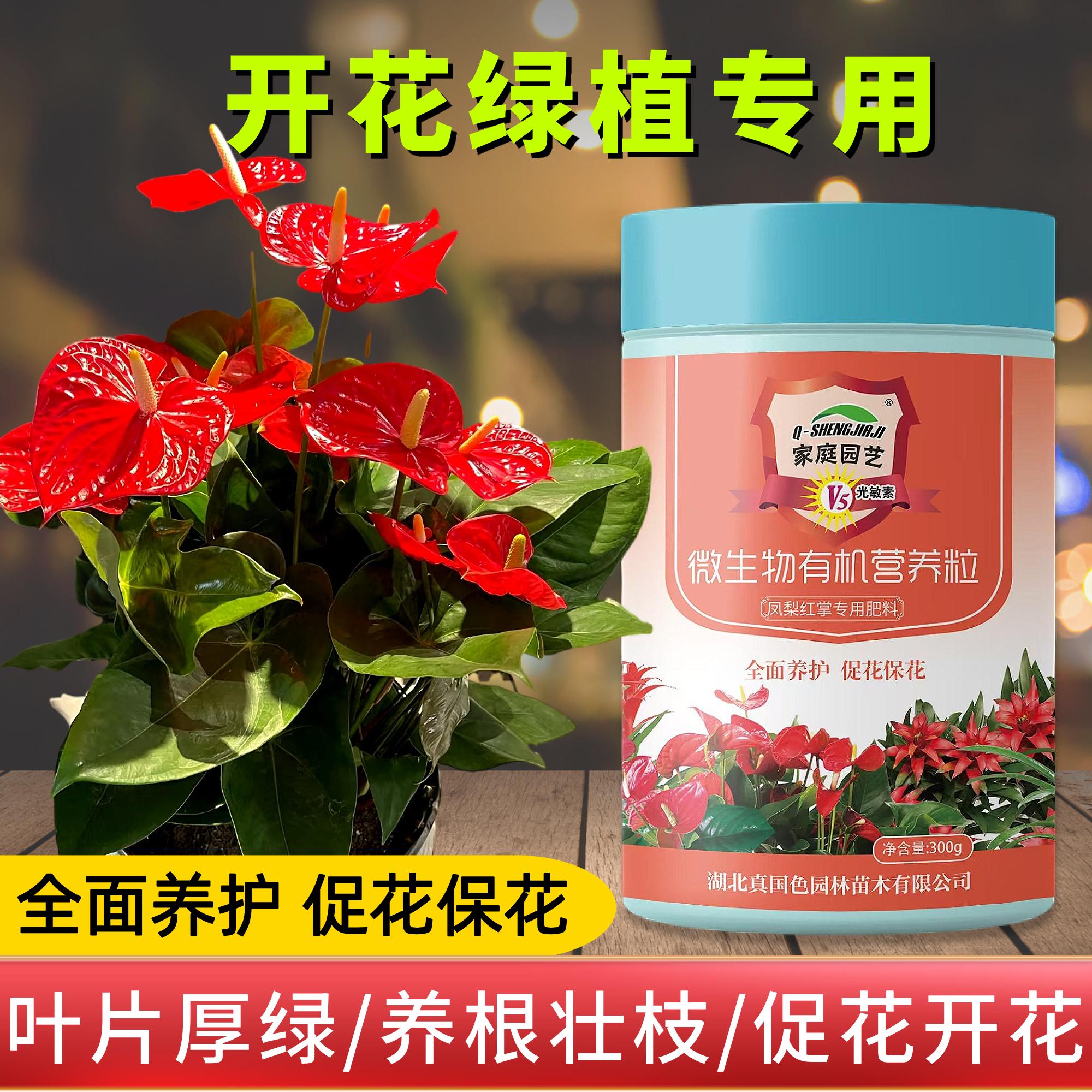 红掌专用有机肥室内开花绿植营养