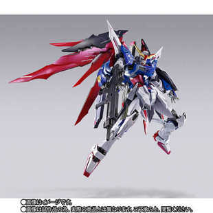 万代 MB METAL BUILD 命运高达2024 全新现货