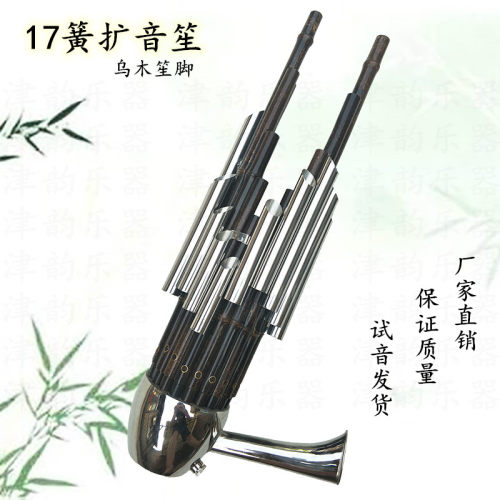 宏盛17簧笙成人儿童都可以学习