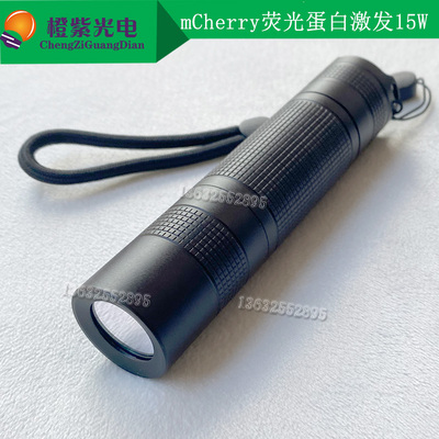 激发红色荧光mCherry RFP DsRed dTomato 手电 光源 科研荧光观察