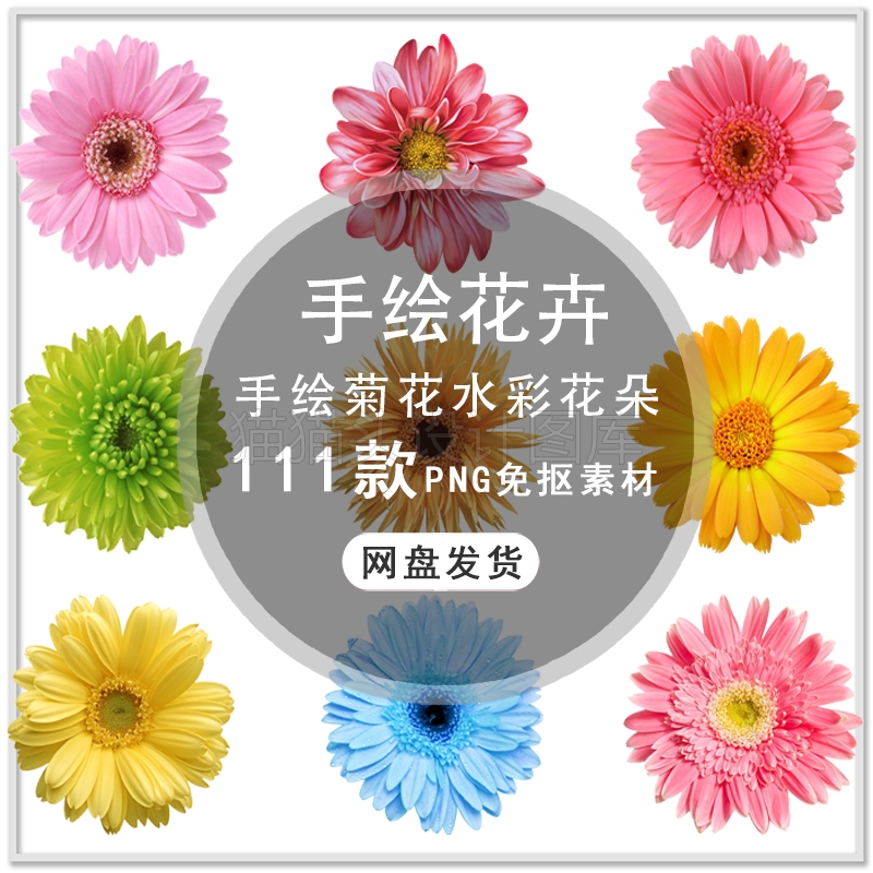 手绘唯美菊花花朵花卉菊花盆栽卉绿植四季菊花png免扣素材