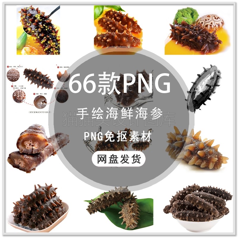 手绘美味海鲜海参海鲜美食海报插画背景png免扣素材