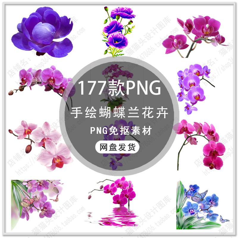手绘紫罗兰花卉蝴蝶兰熏衣草花卉紫色花朵花环插画png免扣素材