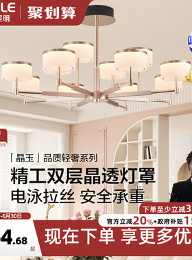 欧普高显色现代高端吊灯