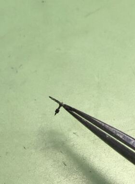 手表配件 瑞士原装3135机芯莲花轮 马轮 擒纵轮 410原装配件