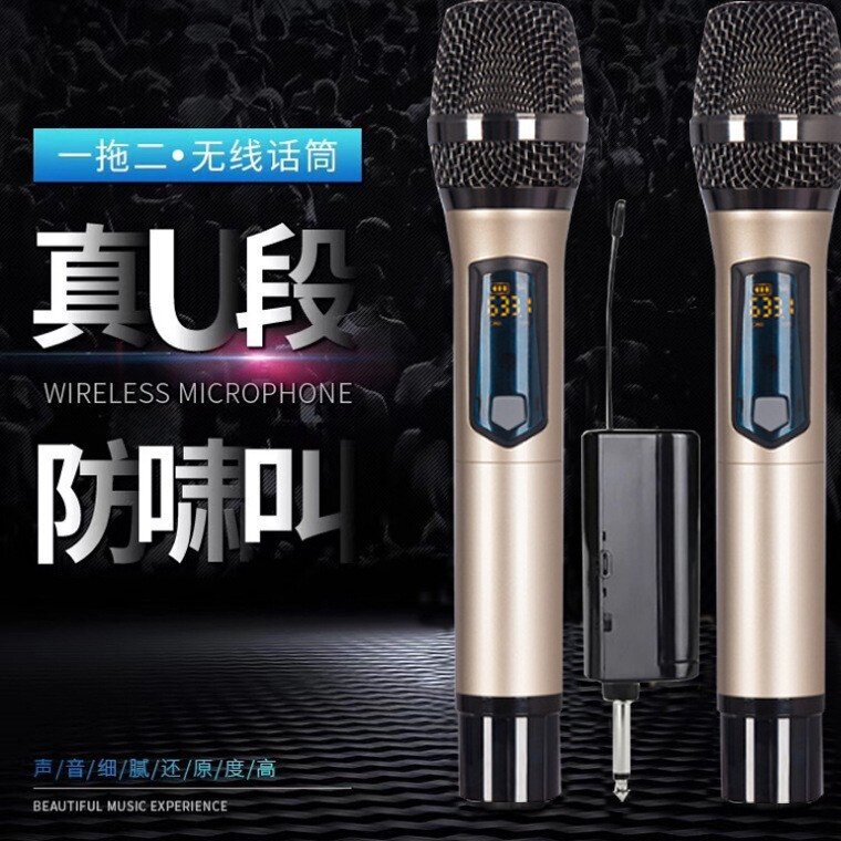 无线一拖二U段话筒家用娱乐调频金属麦克风广场K歌无线麦克风