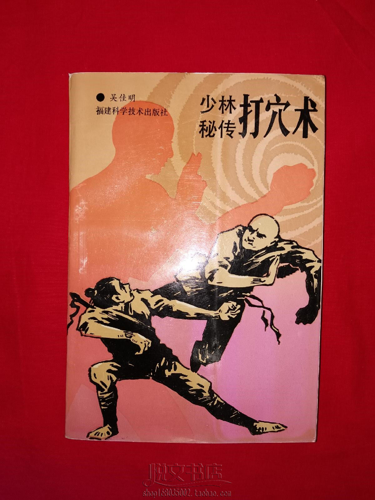 少林秘传打穴术穴位图谱点打技术武术功夫基本功教学原版二手书