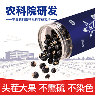 农科院研发青海黑枸杞非宁夏黑枸杞头茬免洗大果泡水茶花青素正品