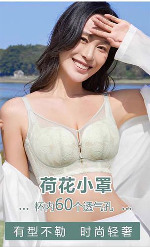 名韩内衣1002薄B杯法式性感蕾丝调整型聚拢无钢圈上托收副乳文胸