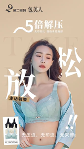 第二密码内衣8147大胸显小上托防下垂聚拢超薄透气软钢圈侧收文胸