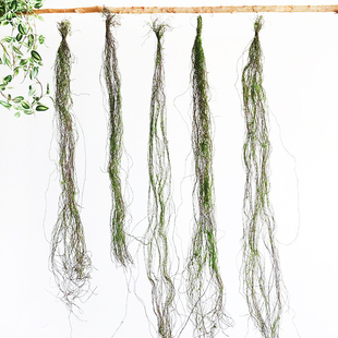 仿真苔藓树藤枯藤森系造景装饰摆放假藤条青苔藤垂挂陈列树枝花艺