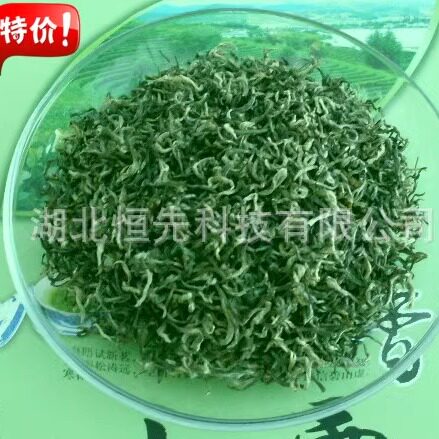 中国名茶 湖北特产 高山绿茶 生态健康礼品 大别山茶叶 英山毛尖