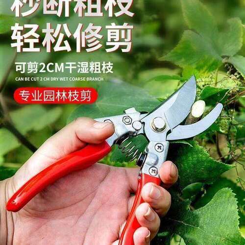 sk5家用省力剪果树修枝剪刀多功能园林果枝剪摘果剪枝多用园艺剪