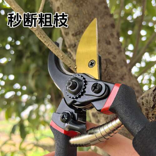 强力加厚SK5钢树枝剪园艺苗圃修枝剪粗枝果树剪 剪枝锋利树枝剪刀