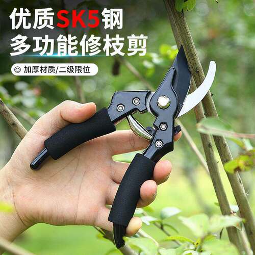园艺修枝剪强力SK5黑刃省力粗枝剪园林盆景多功能剪切利落顺畅
