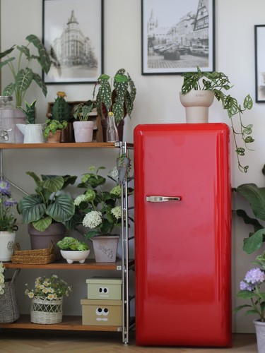 冰箱雪柜厨房微缩模型豆卞部屋