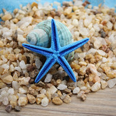 美人鱼树脂海星五指海星仿真海星鱼缸装 饰摆件