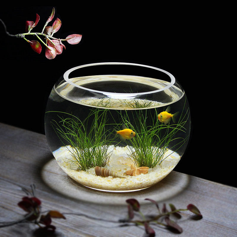 桌面圆球鱼缸圆形玻璃花瓶斗鱼缸金鱼缸家居装饰摆件加厚高透亮