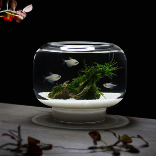 创意收底腰鼓金鱼缸桌面水晶玻璃鱼缸家居装饰花瓶热带鱼缸高透亮