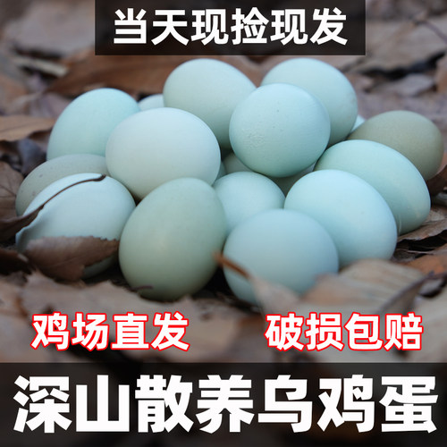 绿壳乌鸡蛋深山散养农场直发