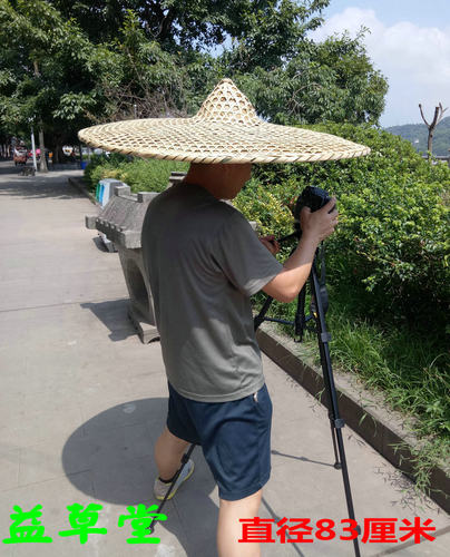 超大号80厘米园林景观装饰防雨帽