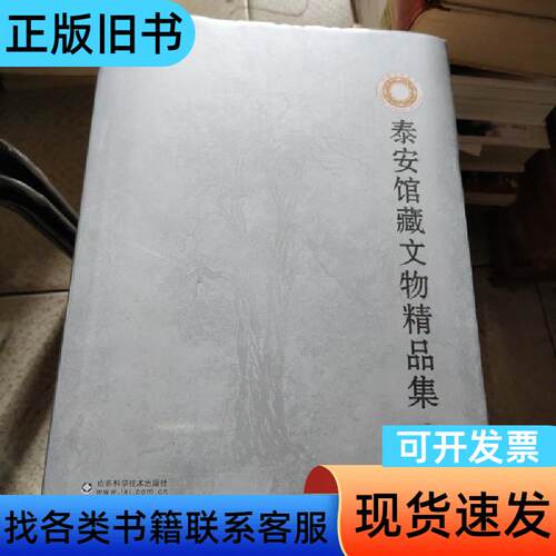 泰安馆藏文物精品集 王新民