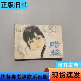 腊梅 谌容 1985