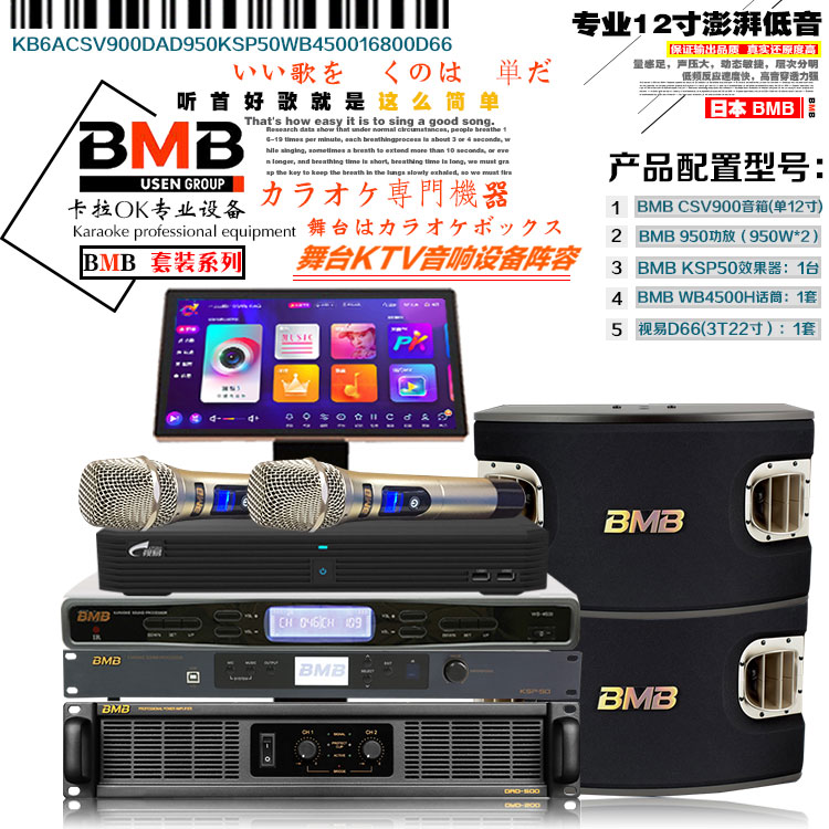 别墅家庭影院系统音响套装 家庭娱乐KTV音箱套装设备 卡拉OK音响
