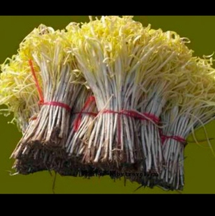 新鲜韭黄兰州韭黄韭菜嫩芽金杆黄蔬菜食用饺子食材报纸包裹发顺丰