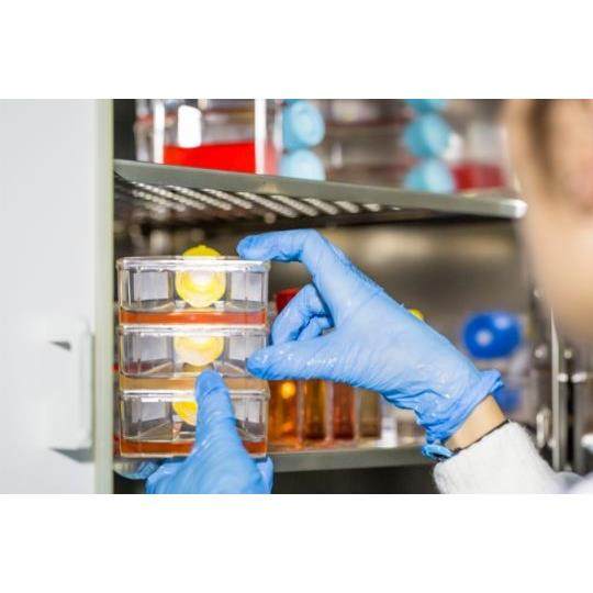 议价氧气传器探头 MicroSENS高温红外二氧化碳传器 红外甲烷传