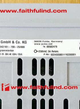 议价Jumo 00582479 久茂温控器 dTRON 308 703042/181-700-25/000