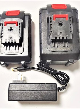 压力王21V 9980VF便携式无线洗车机抽水机浇水浇花锂电池充电器