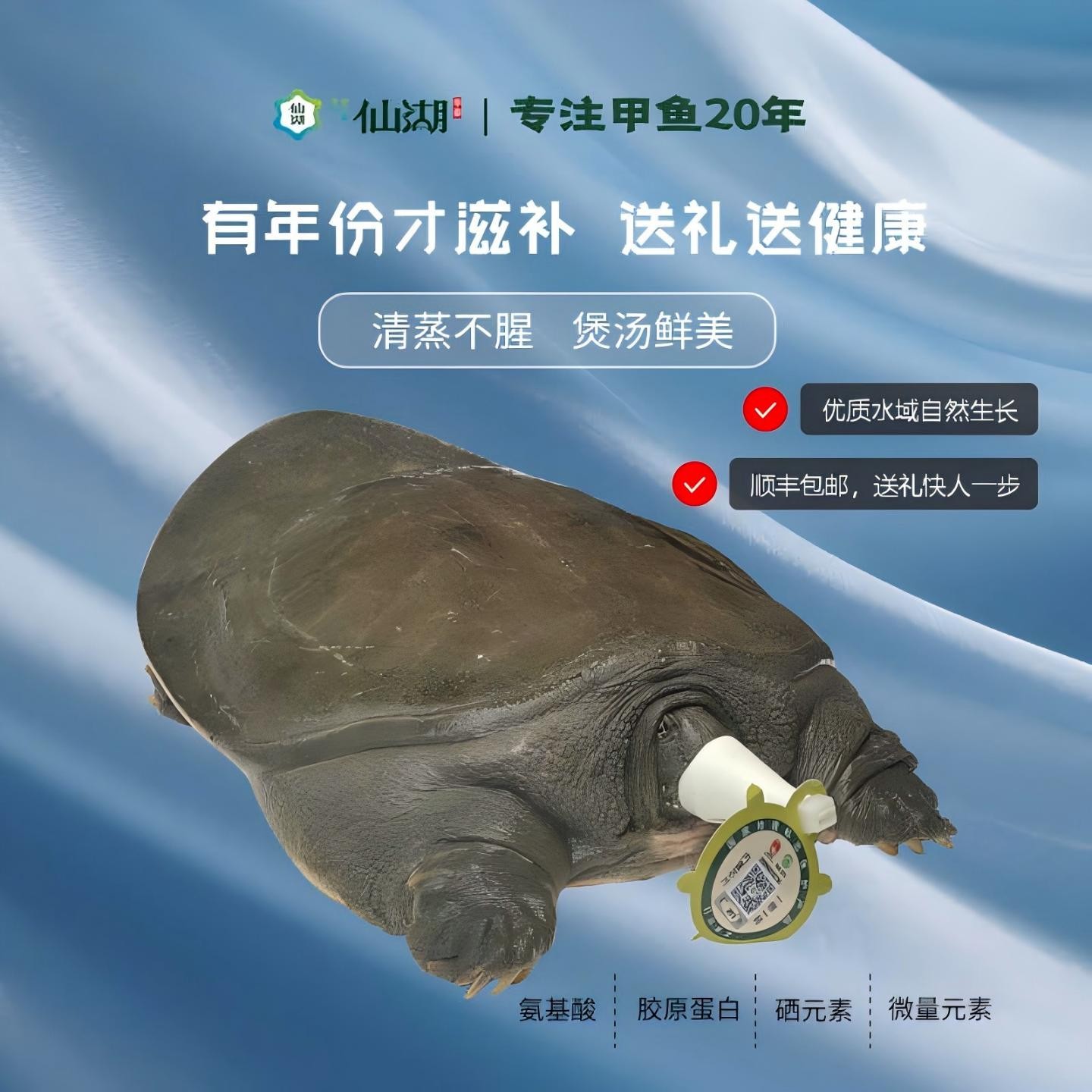 仙湖活鲜汉寿甲鱼生态食补礼盒图片