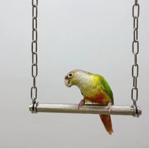 304不锈钢鹦鹉秋千站杆