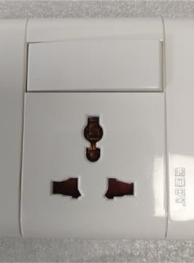 鸿雁86型康居I型一开带多功能插座美标欧标万用型A86Z1WK11-10BNI