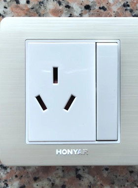 鸿雁Tiber.TB系列/一开单控16A三孔带门插座