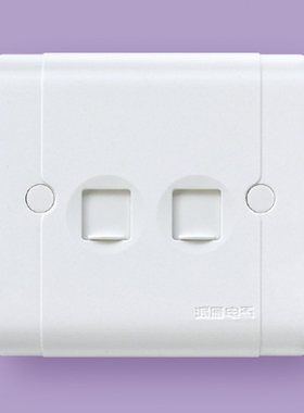 鸿雁康居A86电脑加电话插座 /A86ZD8/D6N-4